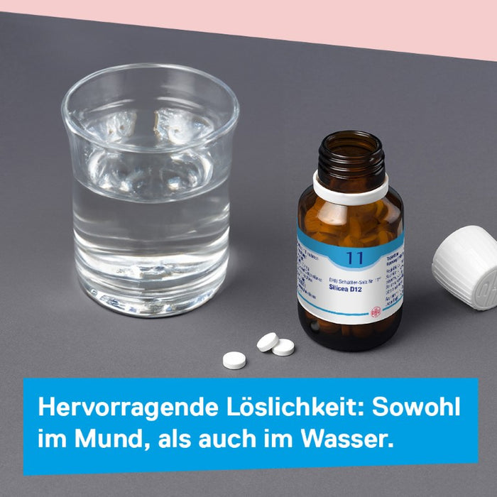 DHU Schüßler-Salz Nr. 11 Silicea D12, 200 pcs. Tablets