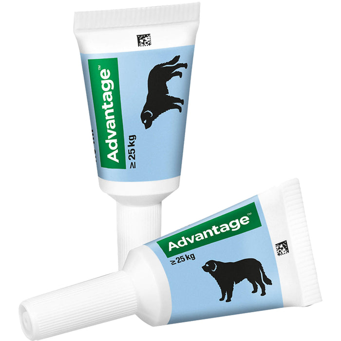 Elanco Advantage 400 bei Hunden 25 kg - 40 kg Lösung zur Vorbeugung und Behandlung des Floh- und Haarlingsbefalls, 4 pcs. Ampoules