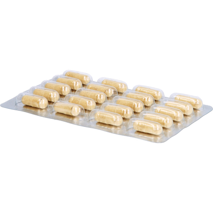 Certmedica Grünlipp-Muschelkonzentrat Gelatinekapseln, 180 pcs. Capsules