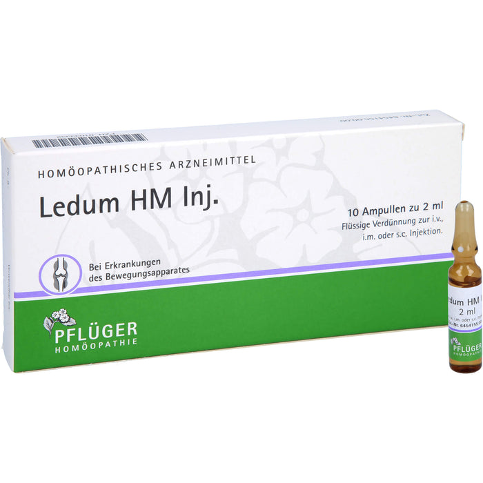 Pflüger Ledum HM Inj. flüssige Verdünnung bei Erkrankungen des Bewegungsapparates, 10 pcs. Ampoules
