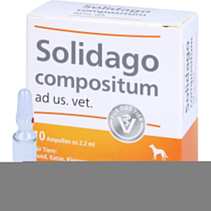 Solidago compositum ad us. vet. Ampullen für Tiere, 10 pc Ampoules