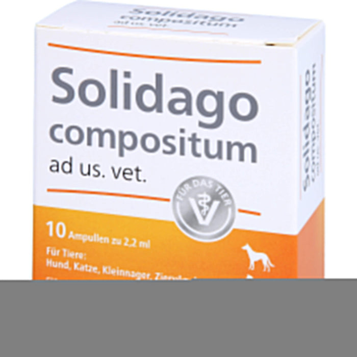 Solidago compositum ad us. vet. Ampullen für Tiere, 10 pc Ampoules