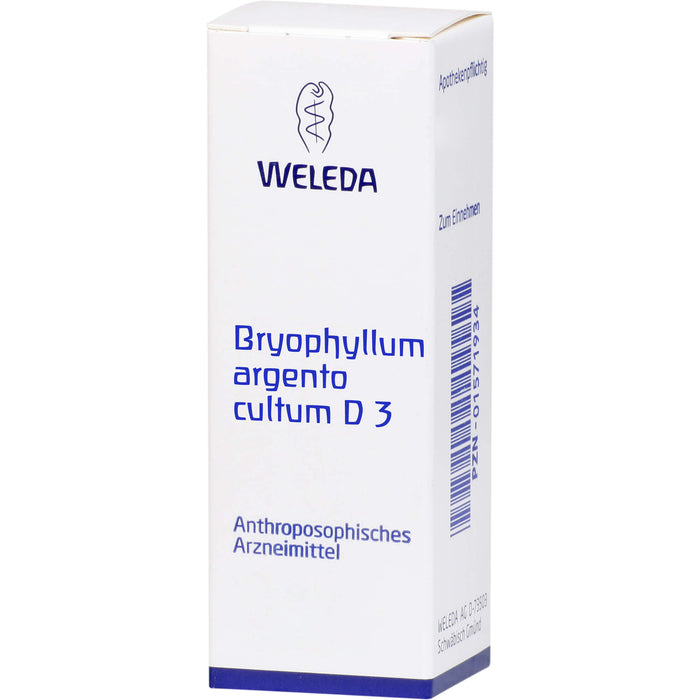 Bryophyllum Argento cultum D3 WELEDA Dil., 50 ml Lösung
