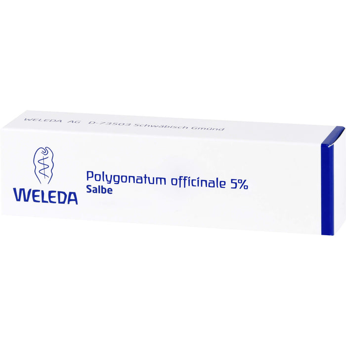 Polygonatum officinale 5% WELEDA Salbe, 25 g Salbe