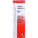 Dr.Reckeweg Angina-Gastreu S R1 Mischung bei Infekten der oberen Luftwege und des Rachenraumes, 22 ml Mischung
