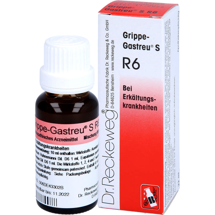 Dr. Reckeweg Grippe-Gastreu S R6 Tropfen bei Erkältungskrankheiten, 22 ml Solution