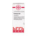 DHU Echinacea D4 Streukügelchen, 10 g Globuli