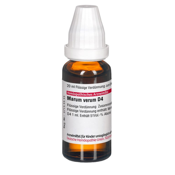 Marum verum D4 DHU Dilution, 20 ml Solution