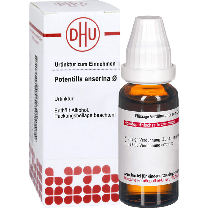 Potentilla anserina DHU Urtinktur, 20 ml Solution