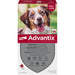 Advantix Spot-On 250 für mittelgroße Hunde von 10 bis 25 kg gegen Zecken Flöhe und fliegende Insekten, 4 St. Lösung