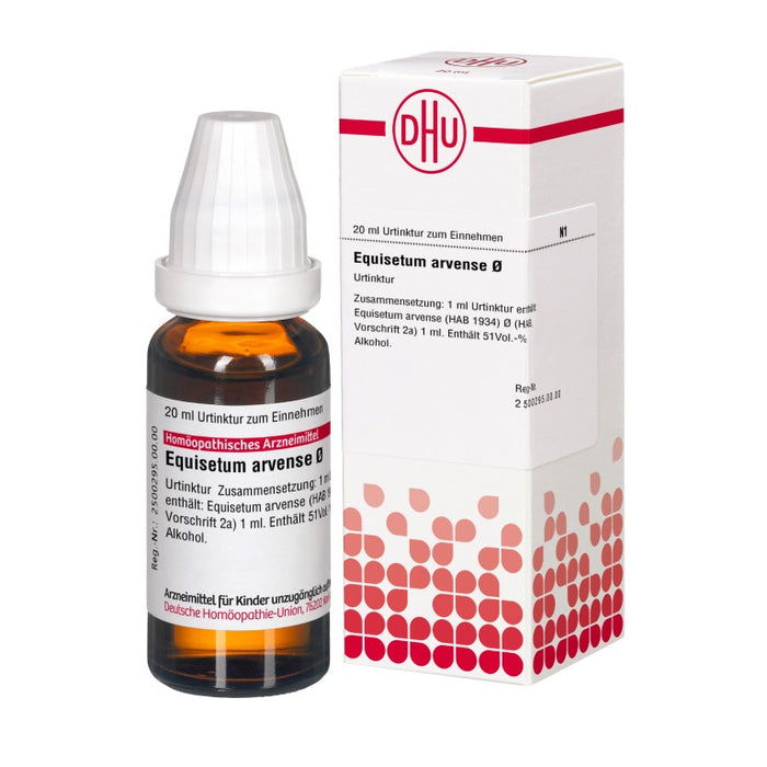 DHU Equisetum arvense ø Urtinktur, 20 ml Solution