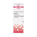 Ruta D8 DHU Dilution, 20 ml Lösung