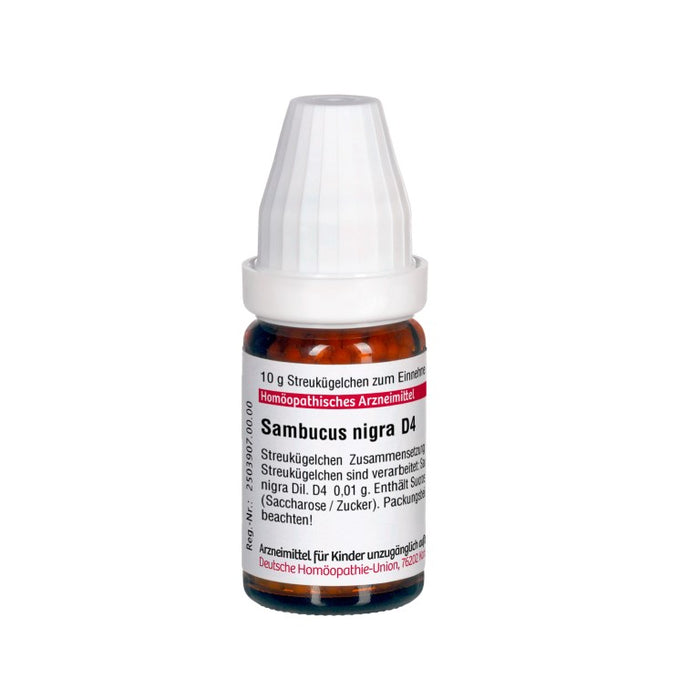 Sambucus nigra D4 DHU Globuli, 10 g Globules