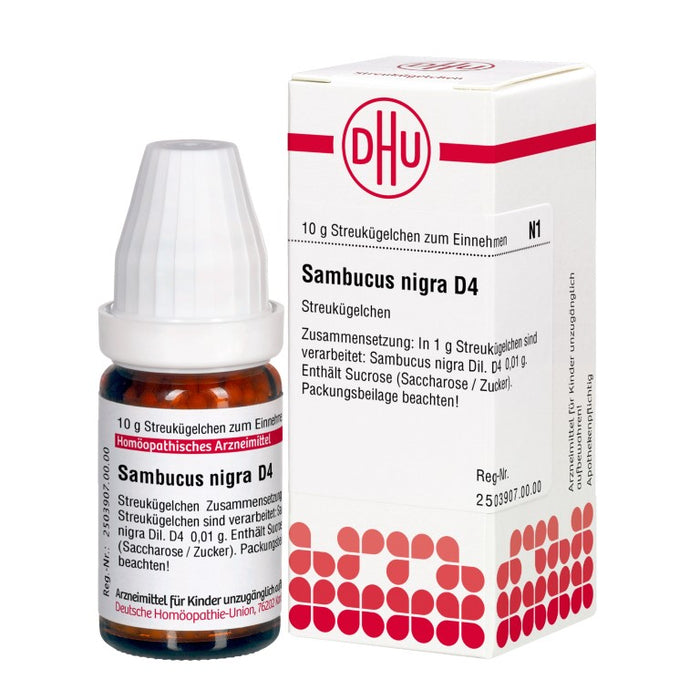 Sambucus nigra D4 DHU Globuli, 10 g Globules