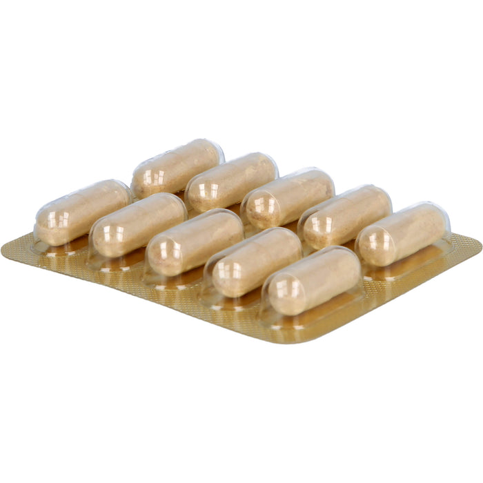 Koreanischer reiner roter Ginseng 300 mg Wurzelpulver Kapseln, 200 pc Capsules