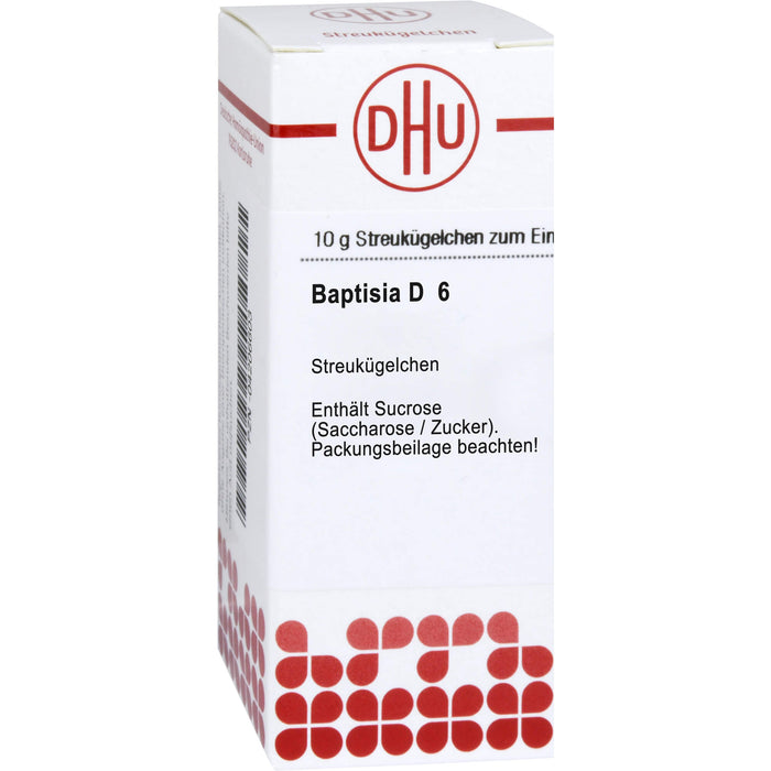 Baptisia D6 DHU Globuli, 10 g Globules