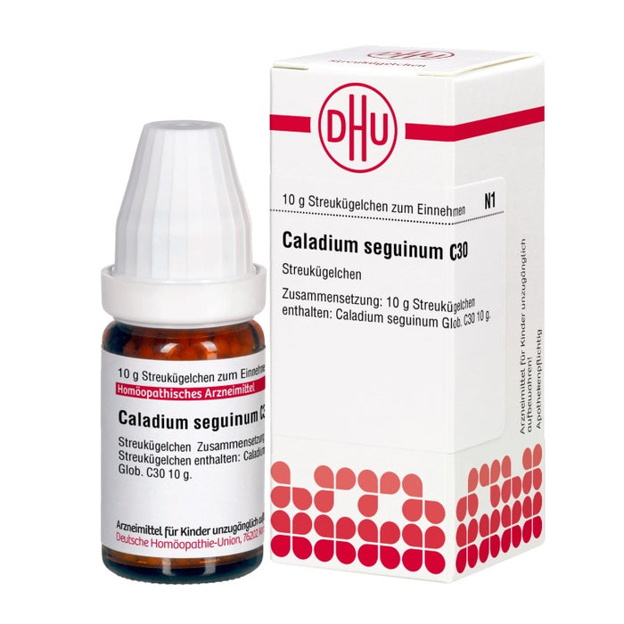 Caladium seguinum C30 DHU Globuli, 10 g Globules