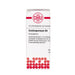DHU Cardiospermum D4 Streukügelchen, 10 g Globuli