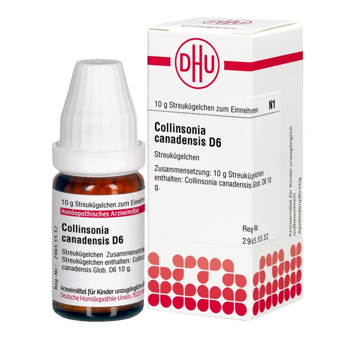 DHU Collinsonia canadensis D6 Streukügelchen, 10 g Globules