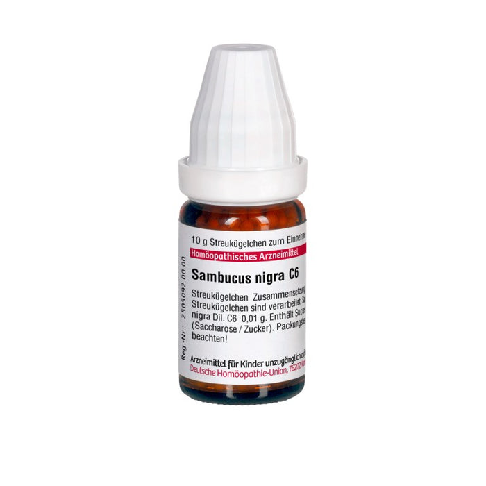 Sambucus nigra C6 DHU Globuli, 10 g Globules