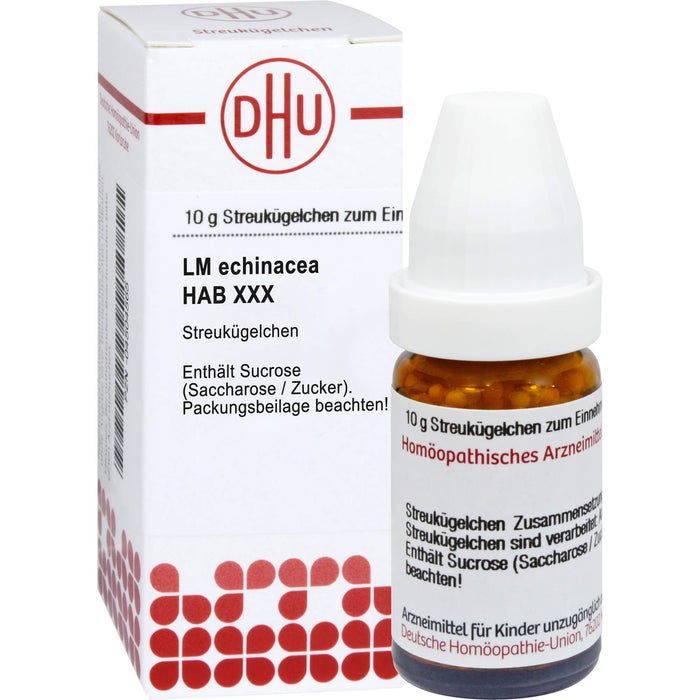 Echinacea HAB LM XXX DHU Globuli, 5 g Globules