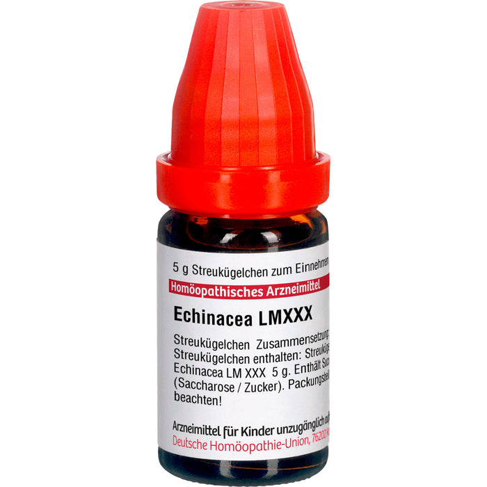 Echinacea HAB LM XXX DHU Globuli, 5 g Globules