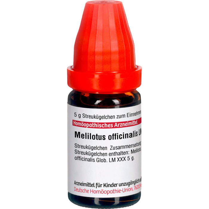 Melilotus officinalis LM XXX DHU Globuli, 5 g Globules