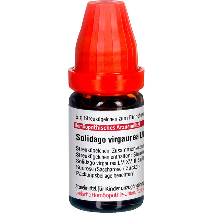 Solidago virgaurea LM XVIII DHU Globuli, 5 g Globules