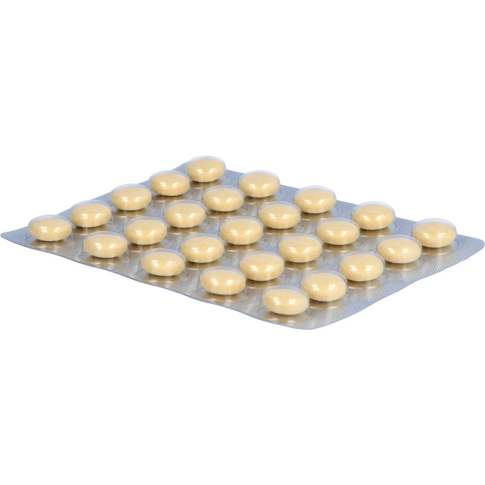 Jarsin  300 mg, überzogene Tabletten, 100 pcs. Tablets