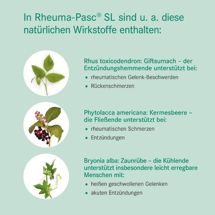 Rheuma-Pasc SL Mischung bei Erkrankungen des Bewegungsapparates, 50 ml Solution