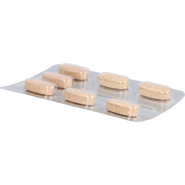 Innovazym Tabletten, 98 St. Tabletten