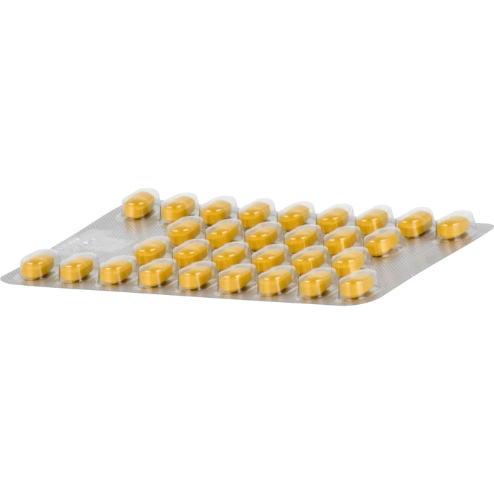 Tebonin spezial 80 mg Filmtabletten zur Leistungsstärkung des Gehirns und zur Durchblutung, 60 pc Tablettes