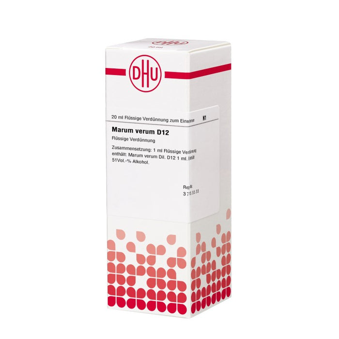 Marum verum D12 DHU Dilution, 20 ml Solution