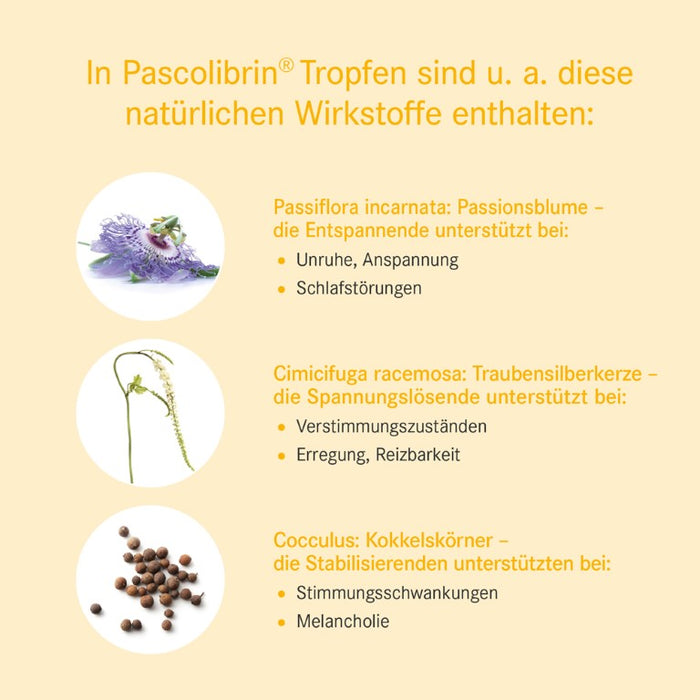 Pascolibrin Tropfen bei Verstimmungszuständen und nervösen Störungen, 50 ml Solution