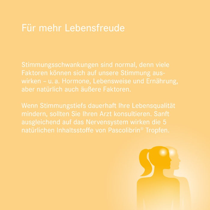 Pascolibrin Tropfen bei Verstimmungszuständen und nervösen Störungen, 50 ml Solution