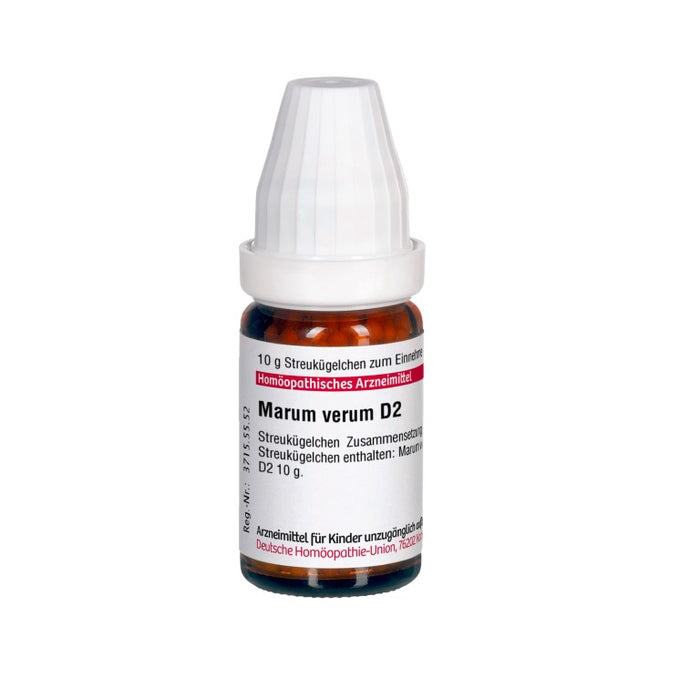 Marum verum D2 DHU Globuli, 10 g Globules
