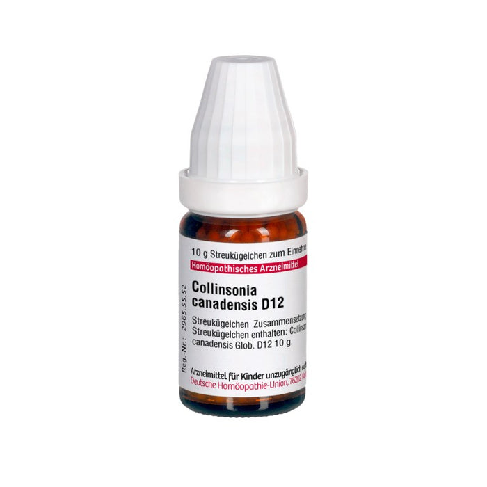 Collinsonia canadensis D12 DHU Globuli, 10 g Globules