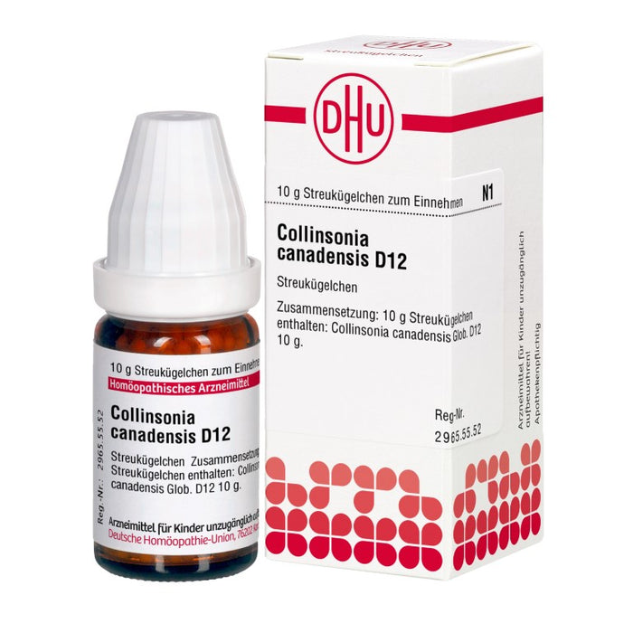 Collinsonia canadensis D12 DHU Globuli, 10 g Globules