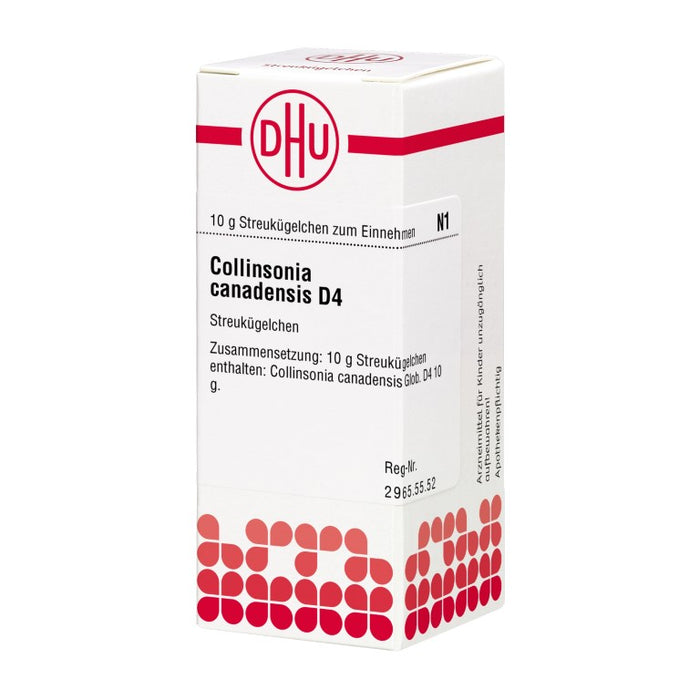 Collinsonia canadensis D4 DHU Globuli, 10 g Globules