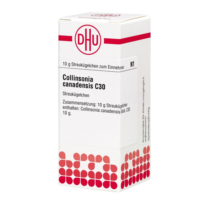 Collinsonia canadensis C30 DHU Globuli, 10 g Globules