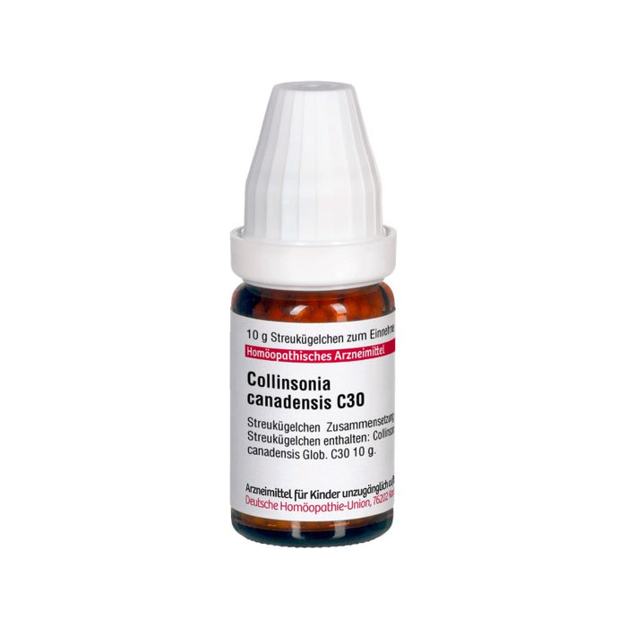 Collinsonia canadensis C30 DHU Globuli, 10 g Globules