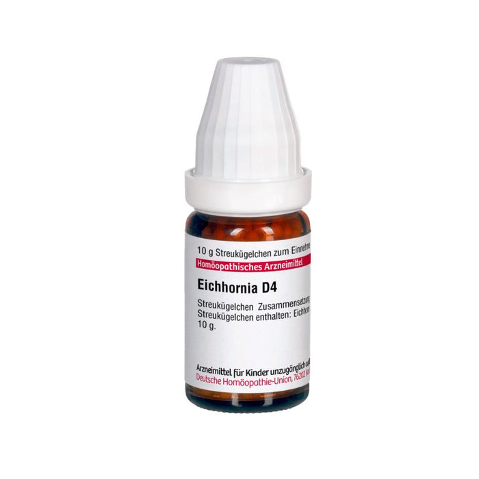 Eichhornia D4 DHU Globuli, 10 g Globules