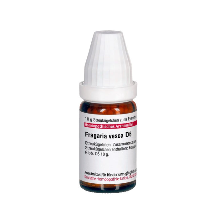Fragaria vesca D6 DHU Globuli, 10 g Globules