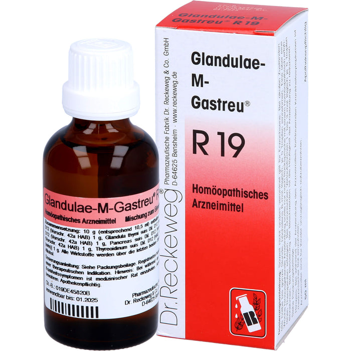 Glandulae-M-Gastreu R19 Tropfen, 50 ml Solution