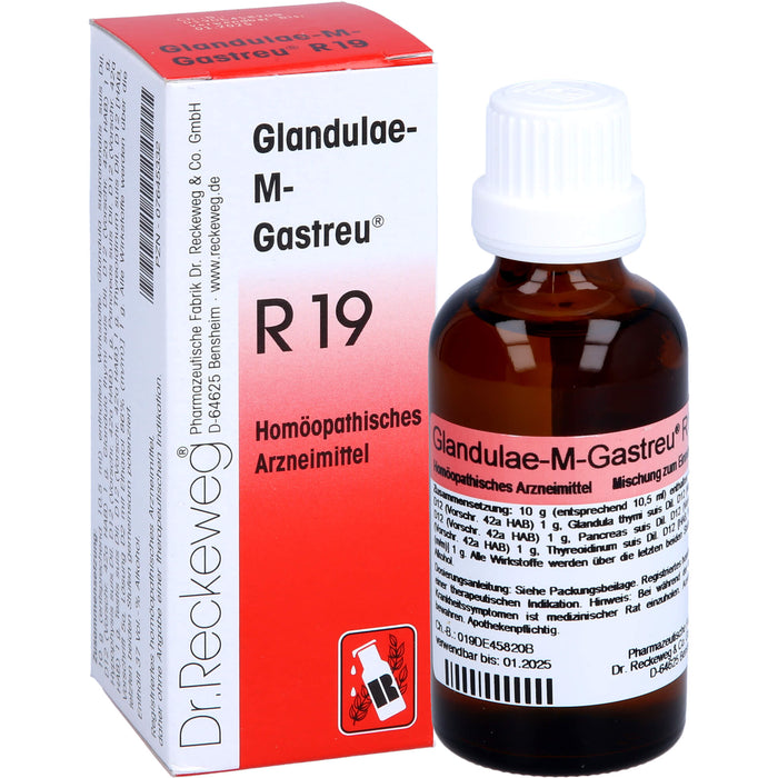 Glandulae-M-Gastreu R19 Tropfen, 50 ml Solution