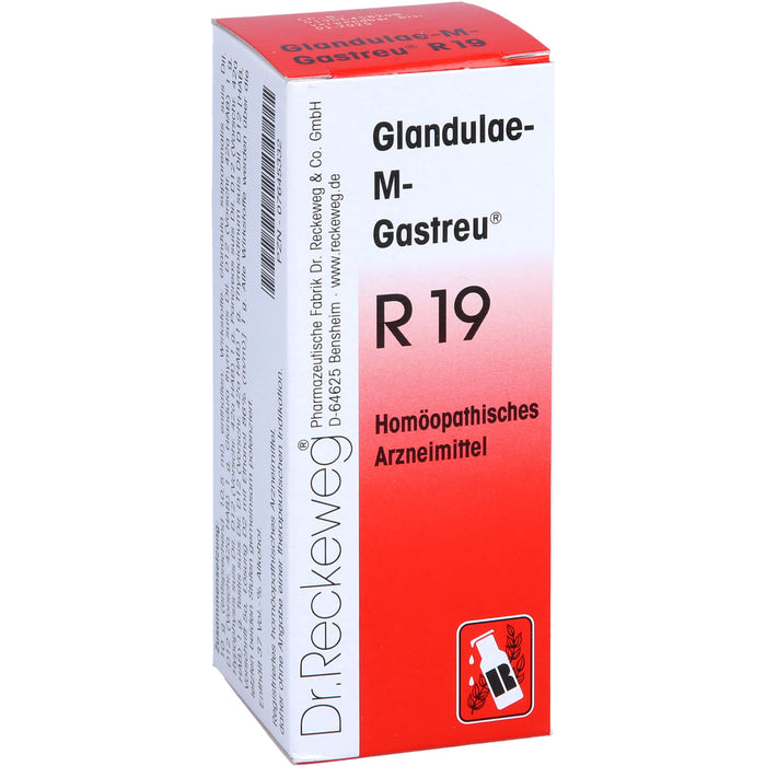 Glandulae-M-Gastreu R19 Tropfen, 50 ml Solution