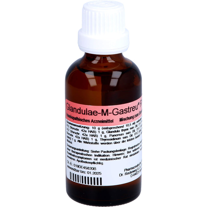 Glandulae-M-Gastreu R19 Tropfen, 50 ml Solution