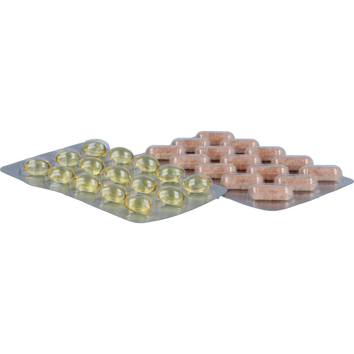 Amitamin Arthro 360 Kapseln für gesunde Gelenke Bänder und Knochen, 120 pc Capsules