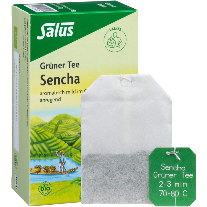 Salus Grüner Tee Sencha, 15 pcs. Filter bag