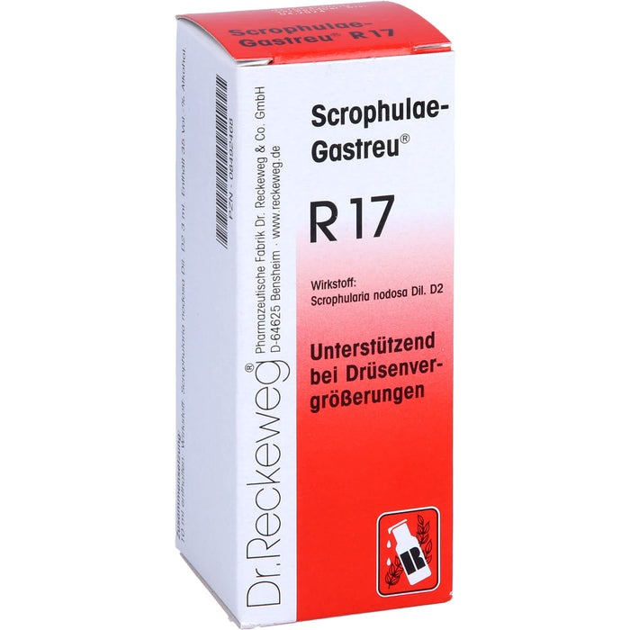 Dr. Reckeweg Scrophulae-Gastreu R17 Tropfen unterstützend bei Drüsenvergrößerungen, 50 ml Lösung